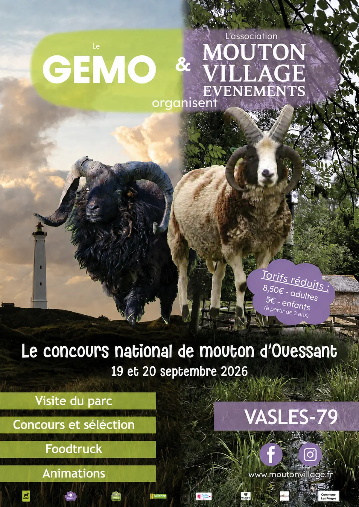 Concours national du mouton Ouessant