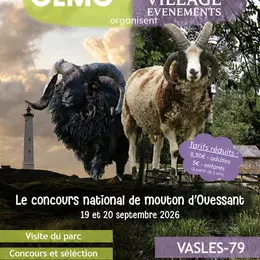 Concours national du mouton Ouessant