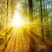 Concours photo 2026 : Impression soleil levant ou couchant