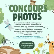 Concours photo