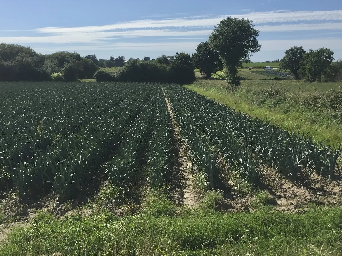 Concours photo amateurs : La vie à Tourneville-sur-mer, ses habitats, ses habitants, ses milieux