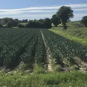 Concours photo amateurs : La vie à Tourneville-sur-mer, ses habitats, ses habitants, ses milieux