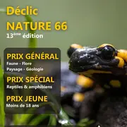 Concours Photo Déclic Nature