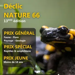 Concours Photo Déclic Nature