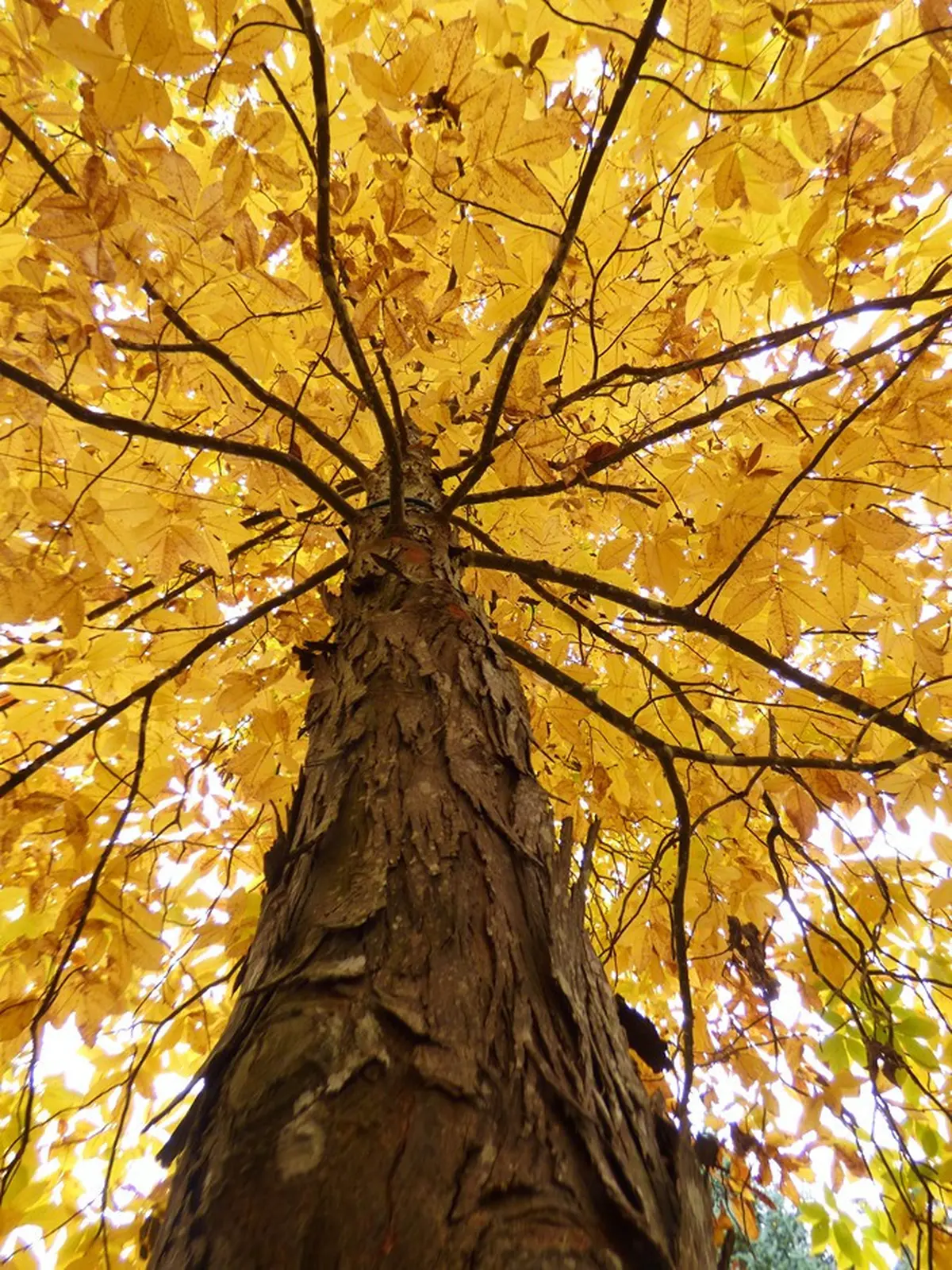 Concours photos : Automne