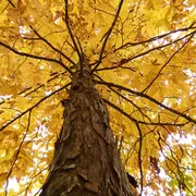 Concours photos : Automne