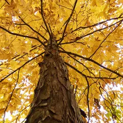 Concours photos : Automne