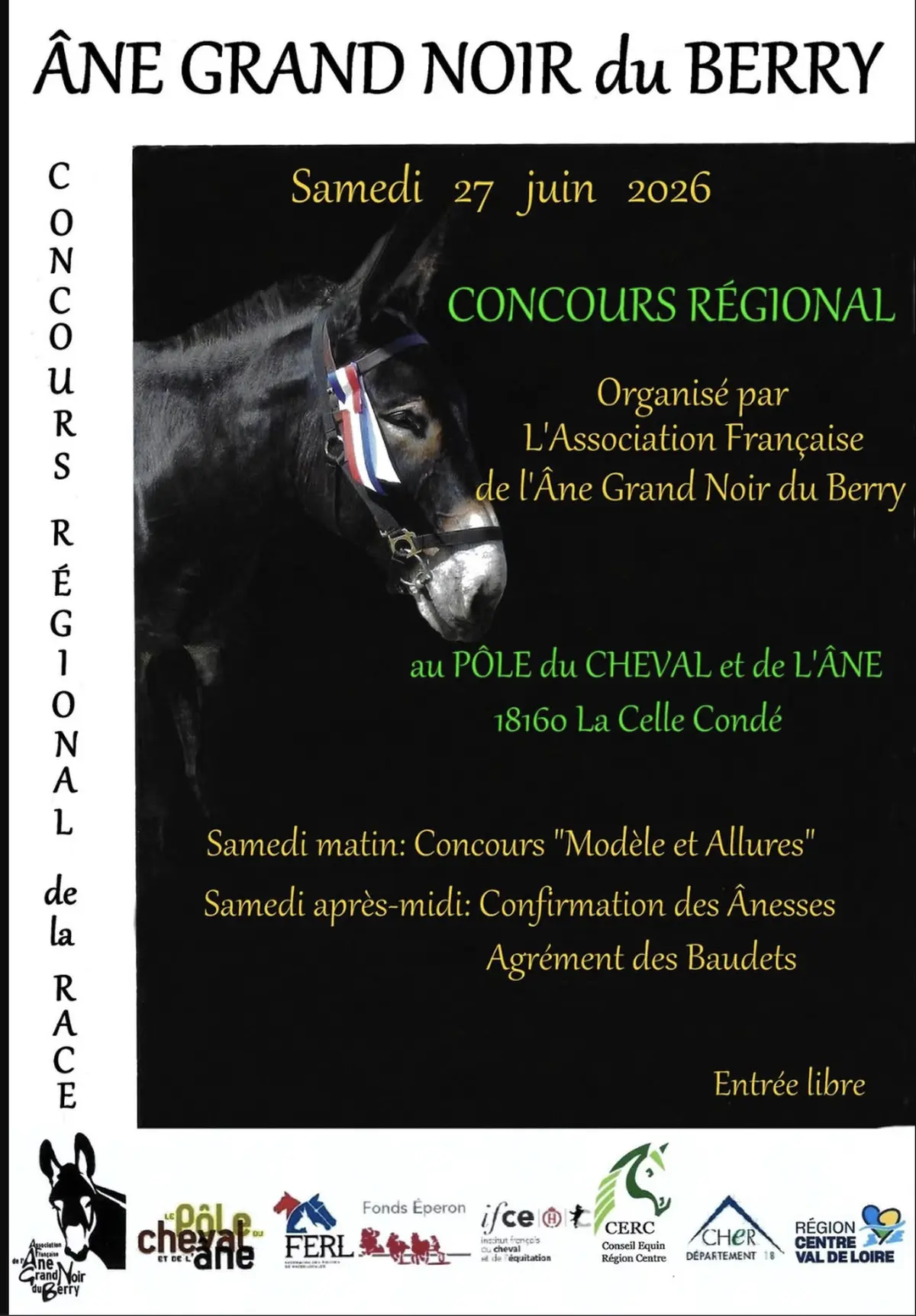 Concours régional Ane Grand Noir du Berry