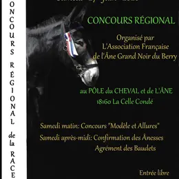 Concours régional Ane Grand Noir du Berry