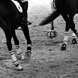 Concours régional de Horse-Ball