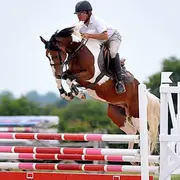 Concours Saut d'Obstacles professionnels