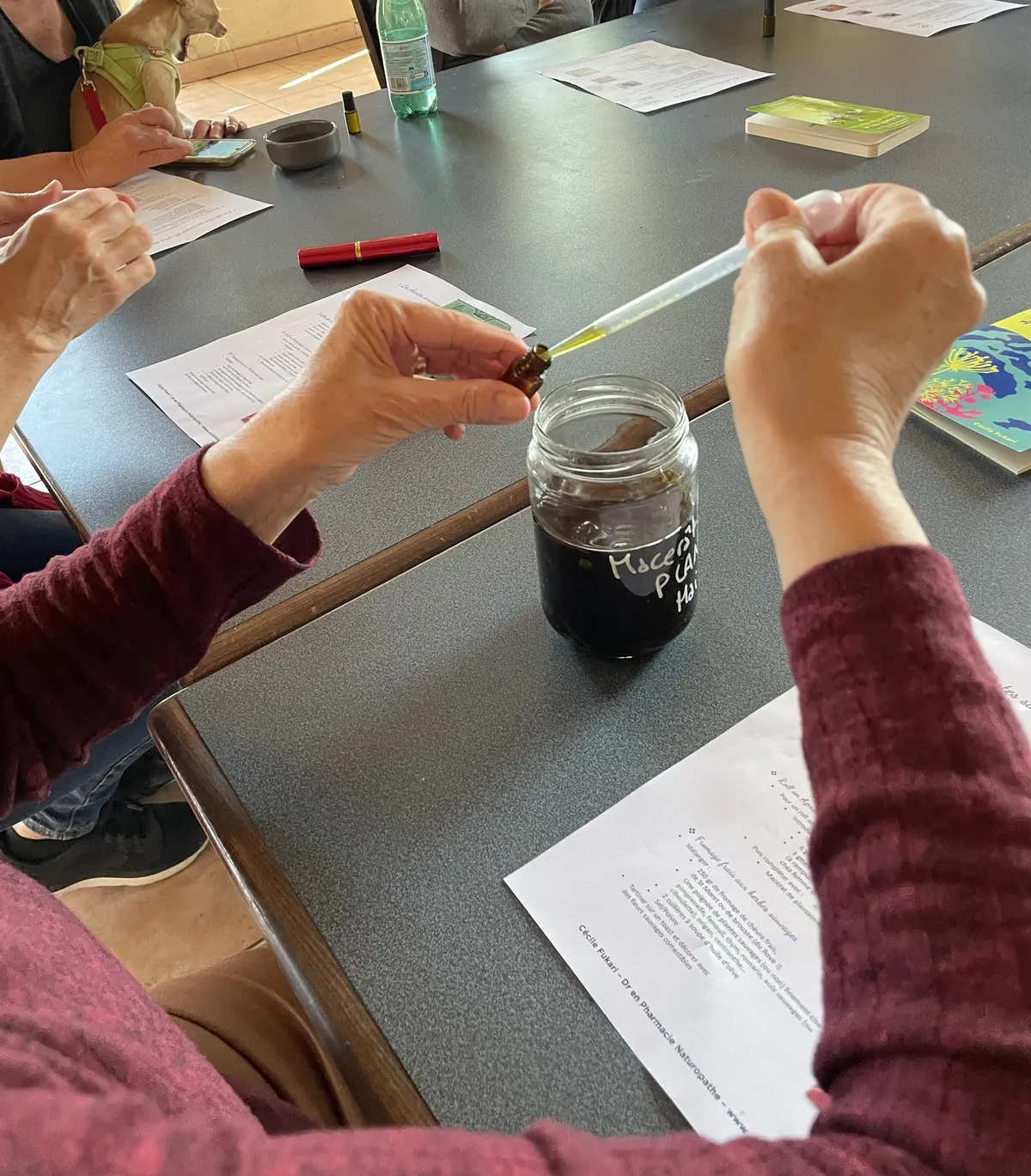 Conf'atelier : plantes magiques, plantes de sorcières
