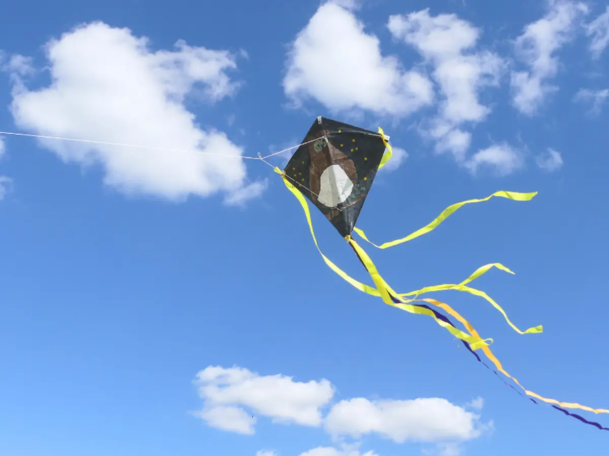 Confection d'un cerf-volant à Terres d'Oiseaux