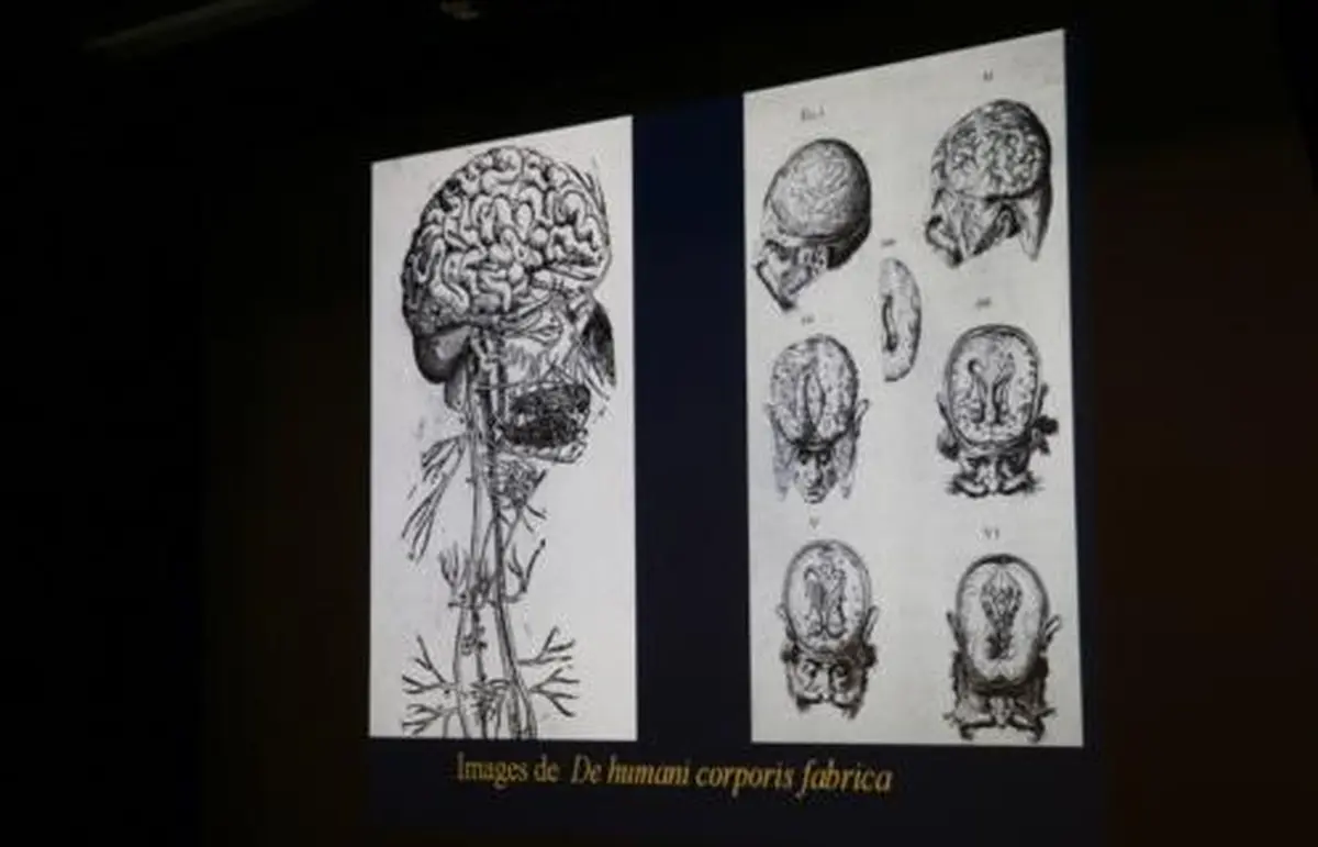 Conference « 1884-2026 : Un Siecle Et Demi D’histoire De La Neurochirurgie »