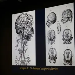 Conference « 1884-2026 : Un Siecle Et Demi D’histoire De La Neurochirurgie »