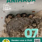 [Conférence] Animaux du bâti