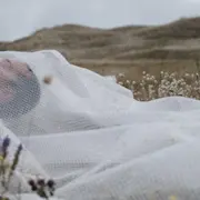 Conférence | Art et science, un front commun | Sandra Geco, Nelly Pons, Xavier Cousin & Chris Franco