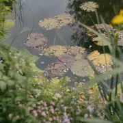 Conférence Art « Les Metamorphoses De Claude Monet »