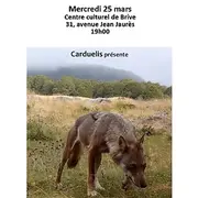Conférence biodiversité: La part du loup (Centre culturel)