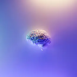 Conférence Buissonière : La Méthode Feldenkrais