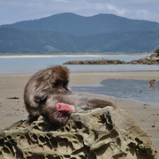Conférence Cerveau & Société