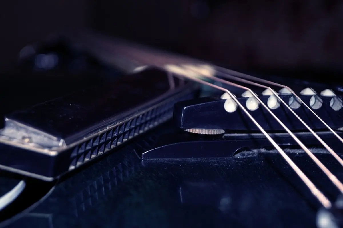 Conférence concert : Blues, un autre voyage en amérique