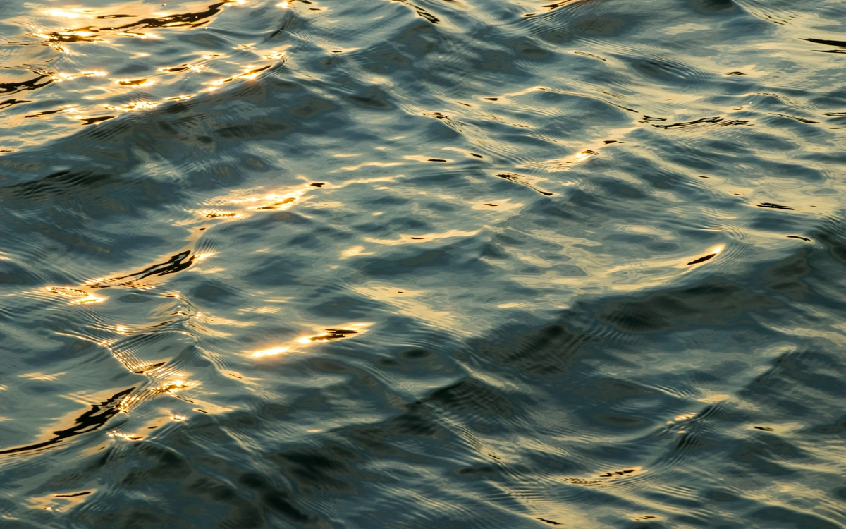 Conférence dansée : 2ème édition autour des 4 éléments