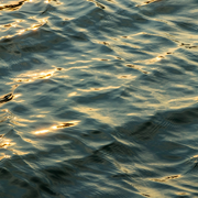 Conférence dansée : 2ème édition autour des 4 éléments
