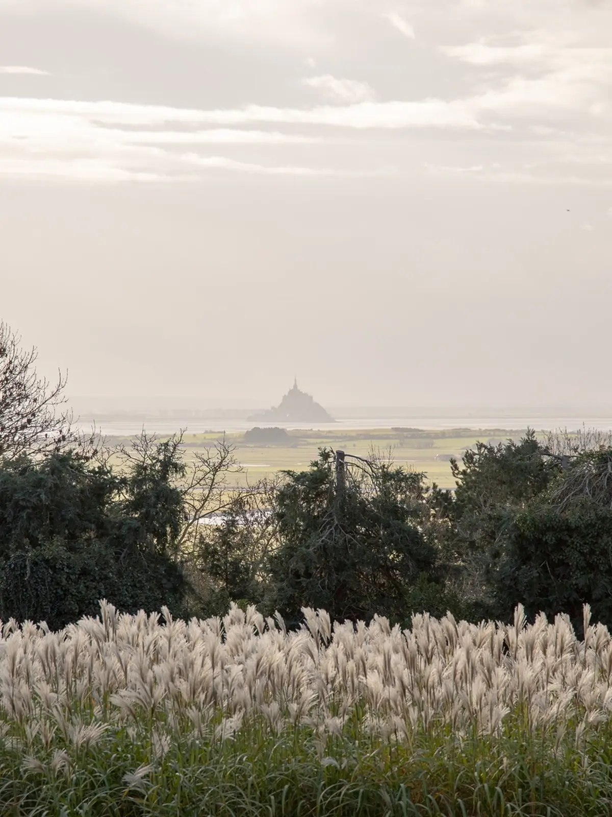 Conférence de l'abbaye du Mont Saint-Michel Images médiévales inédites