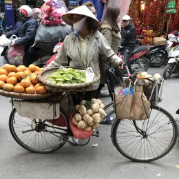Conférence de Latitude, les Amis de Barbara Phillips : Le Vietnam, modernité, histoire et tradition