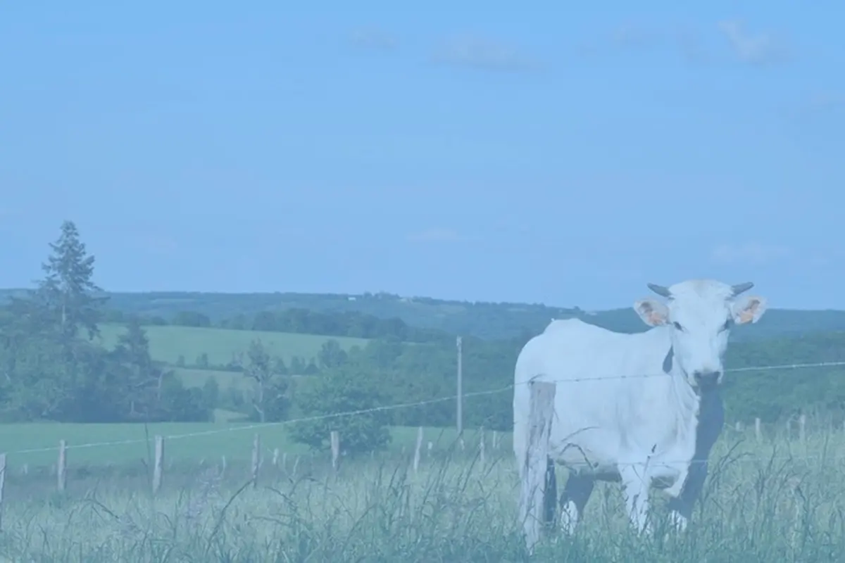 Conférence de Latitude, les Amis de Barbara Phillips : Éleveurs et biodiversité : une coopération vertueuse au service du territoire des Coteaux Gascons