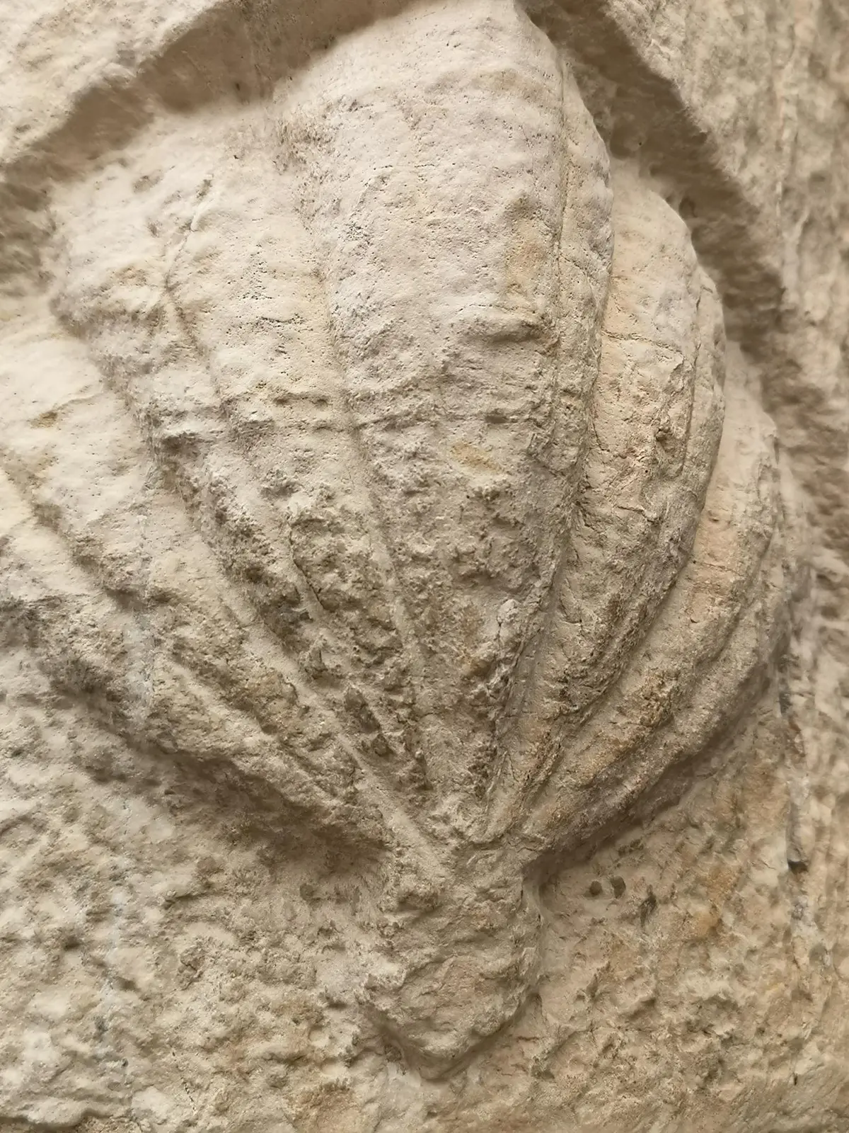 Conférence de Patrice Foissac : Les chemins de pèlerinage en Quercy
