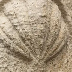 Conférence de Patrice Foissac : Les chemins de pèlerinage en Quercy