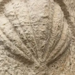 Conférence de Patrice Foissac : Les chemins de pèlerinage en Quercy