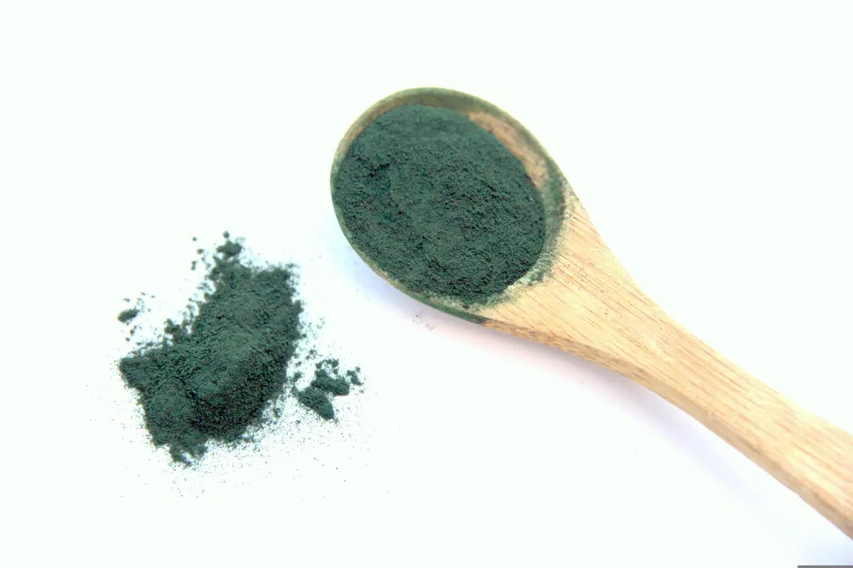 Conférence de Pierre Ancel : La spiruline à l'origine de la vie