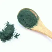 Conférence de Pierre Ancel : La spiruline à l'origine de la vie