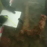 Conférence découvertes archéologiques sous-marines de la baie de Saint-Jean-de-Luz et Ciboure / Saison 6