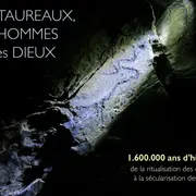 Conférence : Des taureaux, des hommes & des Dieux