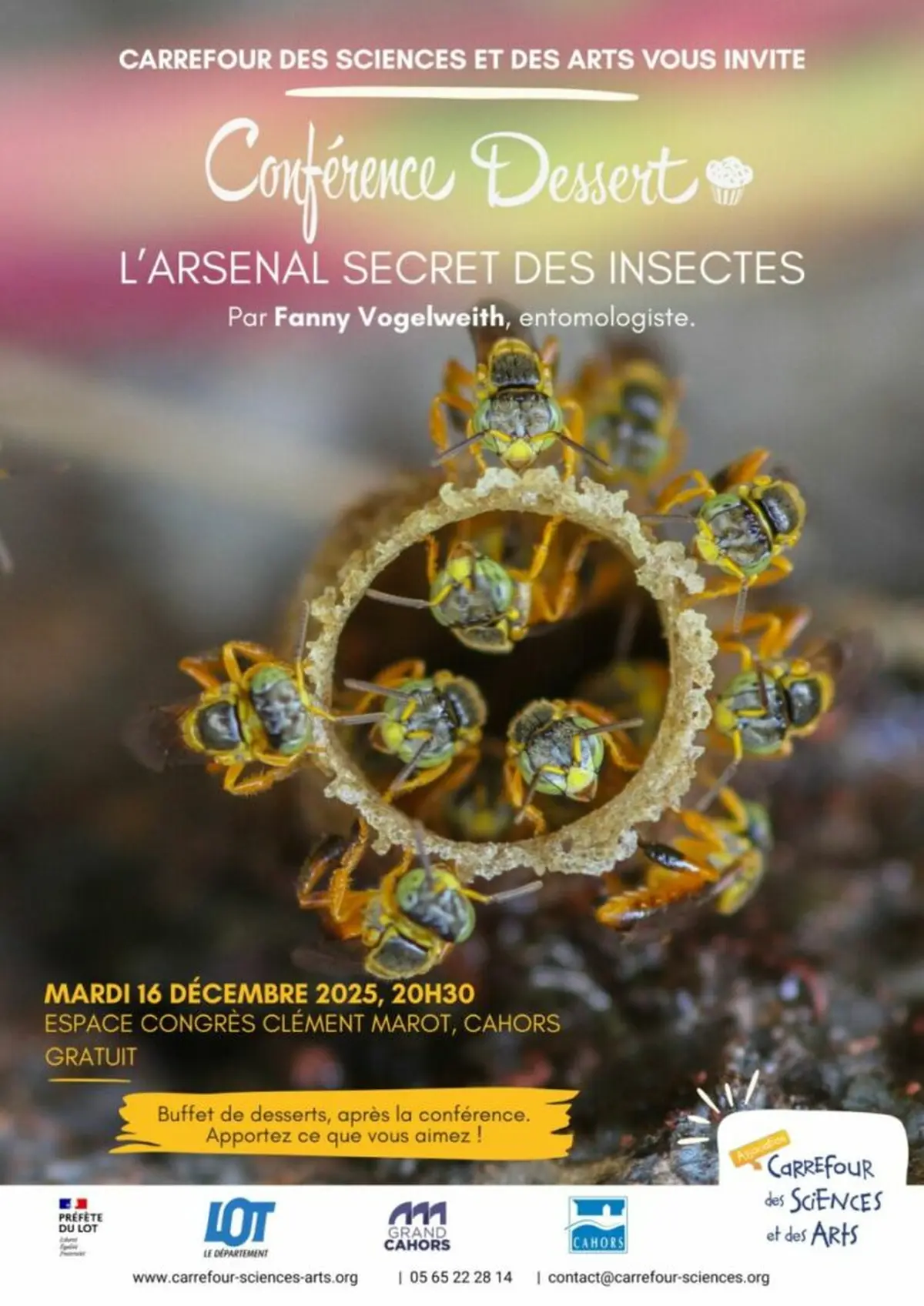 Conférence Dessert avec Carrefour des Sciences et des Arts : L’arsenal secret des insectes