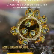 Conférence Dessert avec Carrefour des Sciences et des Arts : L’arsenal secret des insectes