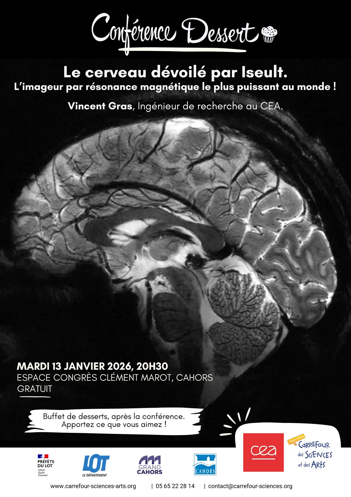 Conférence Dessert avec Carrefour des Sciences et des Arts : Le cerveau dévoilé par Iseult