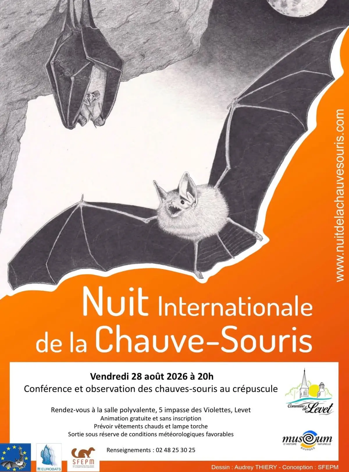 Conférence et observation des chauves-souris au crépuscule