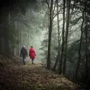 Conférence guidée les nuits des forêts