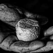 Conférence : Histoire du Chavignol