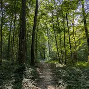 Conférence historique à Laon : L’évolution des milieux forestiers du sud de la Picardie (XIIIe-XIXe siècle). Approches en écologie historique.