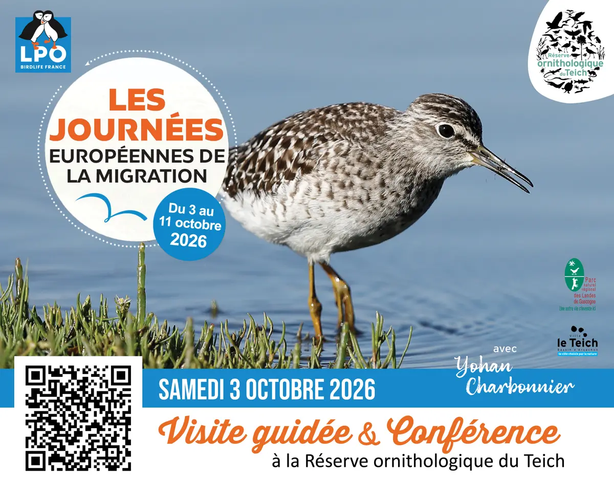 Conférence : « Identifier, suivre et préserver : le rôle du baguage dans l’étude des oiseaux »