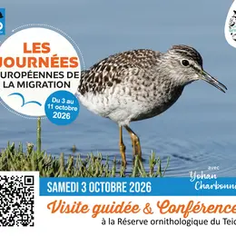 Conférence : « Identifier, suivre et préserver : le rôle du baguage dans l’étude des oiseaux »