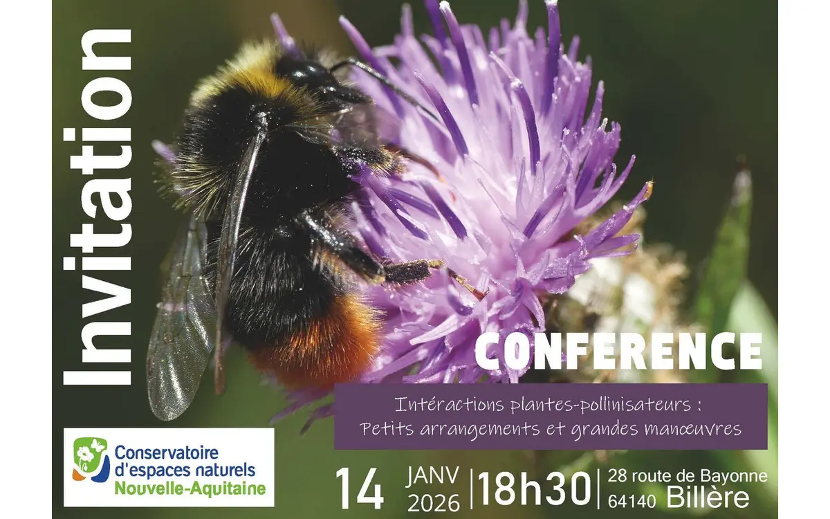 Conférence Intéractions plantes-pollinisateurs: petits arrangements et grandes manoeuvres