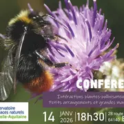 Conférence Intéractions plantes-pollinisateurs: petits arrangements et grandes manoeuvres