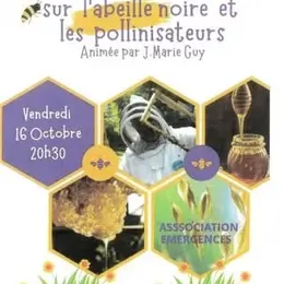 Conférence : L'abeille noire et les pollinisateurs